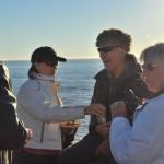 cambria2012_0214 (November 03, 2012)